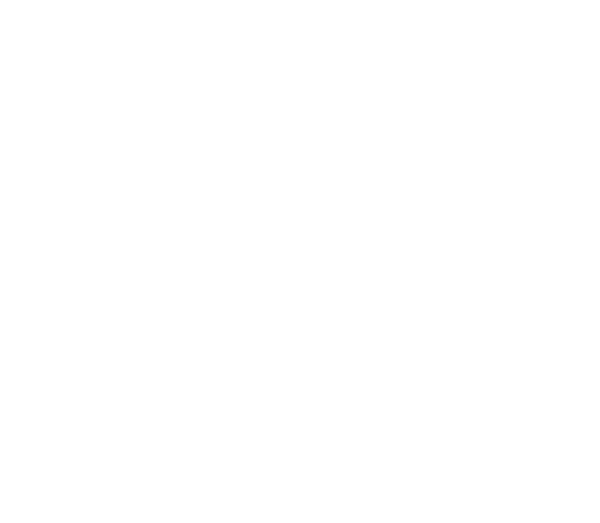Param Logo White